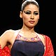 Lakme Fashion Week Spring/Summer 2010