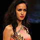 Lakme Fashion Week Summer-Resort 2010