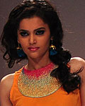 Lakme Fashion Week Winter-Festive 2012