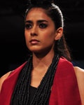 Lakme Fashion Week Winter-Festive 2012