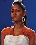 Lakme Fashion Week Winter-Festive 2012