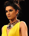 Lakme Fashion Week Winter-Festive 2012