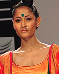 Lakme Fashion Week Winter-Festive 2012