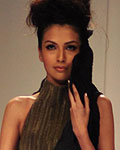 Lakme Fashion Week Winter-Festive 2012