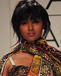 Lakme Fashion Week Winter-Festive 2012