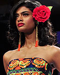 Lakme Fashion Week Winter-Festive 2012