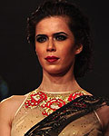 Lakme Fashion Week Winter-Festive 2012