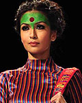 Lakme Fashion Week Winter-Festive 2012