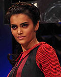 Lakme Fashion Week Winter-Festive 2012