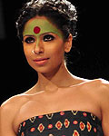 Lakme Fashion Week Winter-Festive 2012