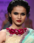 Lakme Fashion Week Winter-Festive 2012