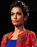 Lakme Fashion Week Winter-Festive 2012