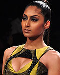 Lakme Fashion Week Winter-Festive 2012