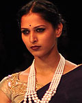 Lakme Fashion Week Winter-Festive 2012