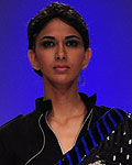 Lakme Fashion Week Winter-Festive 2012