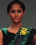 Lakme Fashion Week Winter-Festive 2012