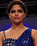 Lakme Fashion Week Winter-Festive 2012