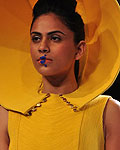 Lakme Fashion Week Winter-Festive 2012