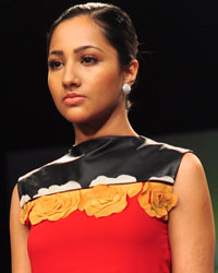 Lakme Fashion Week Winter Festive 2013