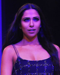 Lakme Fashion Week Winter Festive 2013