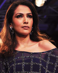 Lakme Fashion Week Winter Festive 2013