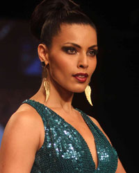 Lakme Fashion Week Winter Festive 2013