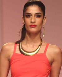 Lakme Fashion Week Winter Festive 2013