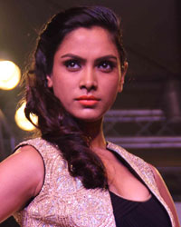 Lakme Fashion Week Winter Festive 2013