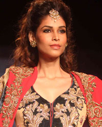 Lakme Fashion Week Winter Festive 2013