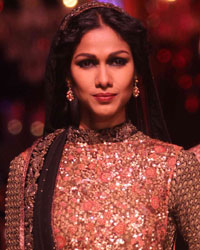 Lakme Fashion Week Winter Festive 2013