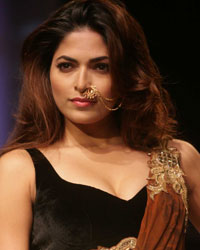 Lakme Fashion Week Winter Festive 2013