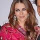 elizabeth Hurley and Arun Nayar