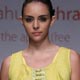 Lakme Fashion Week for Spring Summer 2009