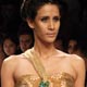 Lakme Fashion Week 2009