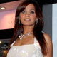 Neetu Chandra at Lakme Fashion Week 2008