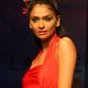 Lakme Fashion Week 2008