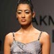 Lakme Fashion Week 2008