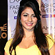 LFW Winter-Festive-2011-Guests