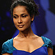 Lakme Fashion Week Winter-Festive-2011