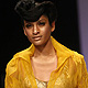 Lakme Fashion Week Winter-Festive-2011