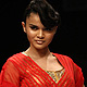 Lakme Fashion Week Winter-Festive-2011LFW Winter-Festive-2011