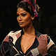 Lakme Fashion Week Winter-Festive-2011