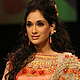 Lakme Fashion Week Winter-Festive-2011