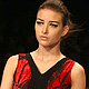 Lakme Fashion Week Winter-Festive-2011