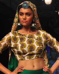 Lakme Fashion Week Winter-Festive 2014