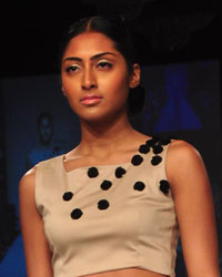 Lakme Fashion Week Winter-Festive 2014