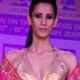 Manish Malhotra show at FICCI Frames