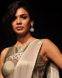 Lakme Fashion Week Winter-Festive 2014