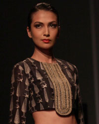 Payal Singhal Show at Wills India Fashion Week Spring Summer 2015