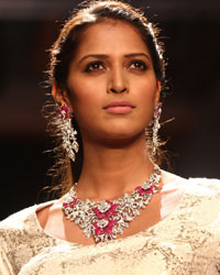 Preeti Show at IIJW 2014